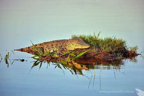 Photo: Croc Stop